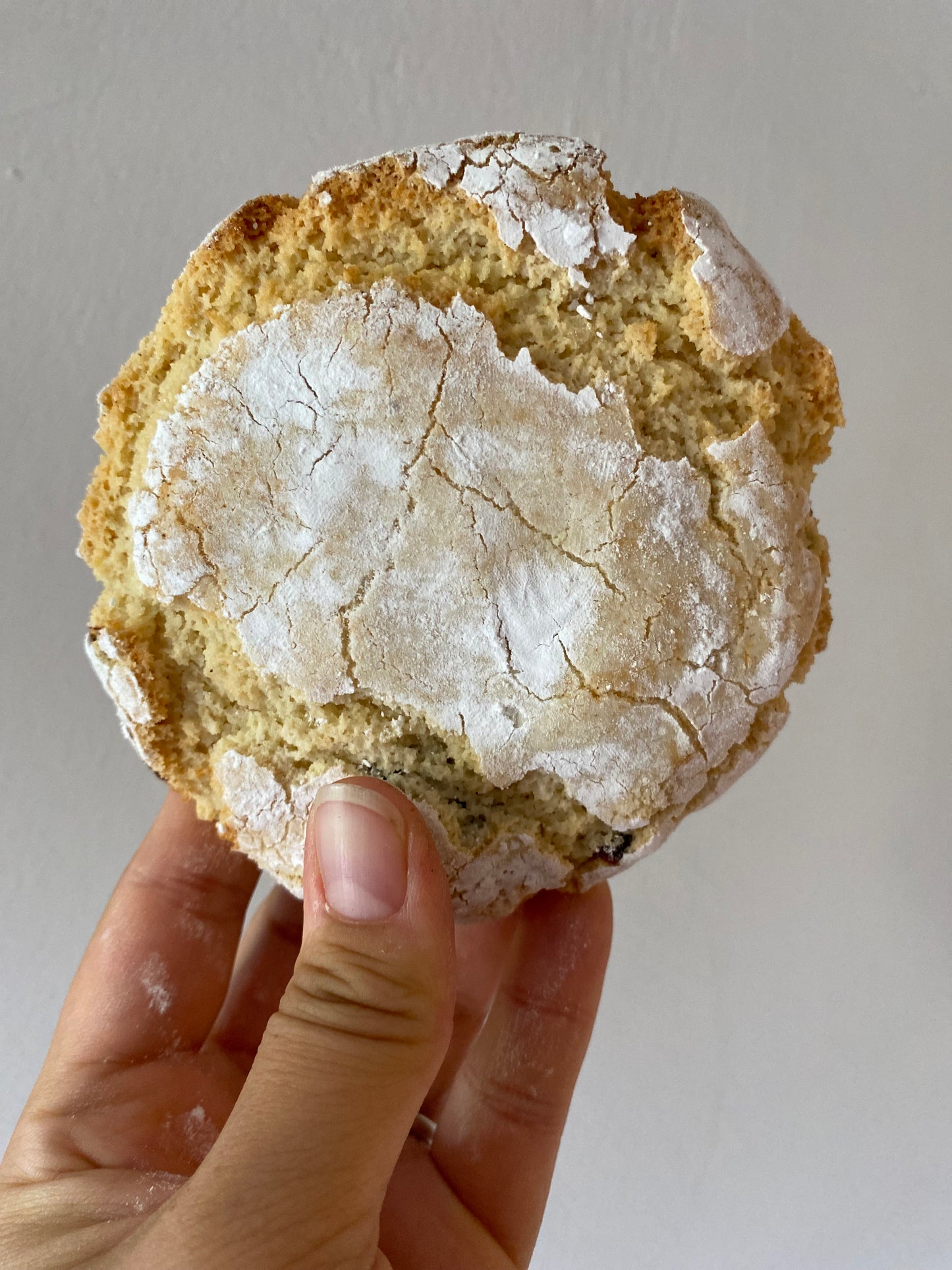 One golden-brown, rustic-looking vegan cookies with a cracked, textured surface dusted with powdered sugar. A scattering of dried cranberries lies near the cookies, inviting you to indulge in a sweet treat from Sweet Almond bakery.