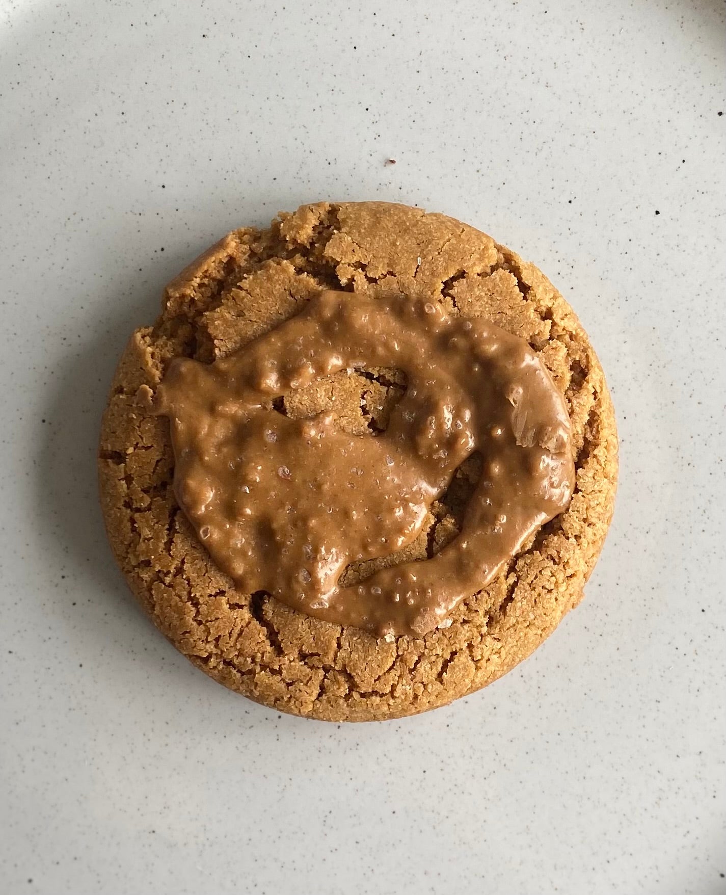 A plate with one round, golden-brown vegan salted Biscoff cookie with visible specks of Biscoff crumbs and a sprinkle of sea salt on top.