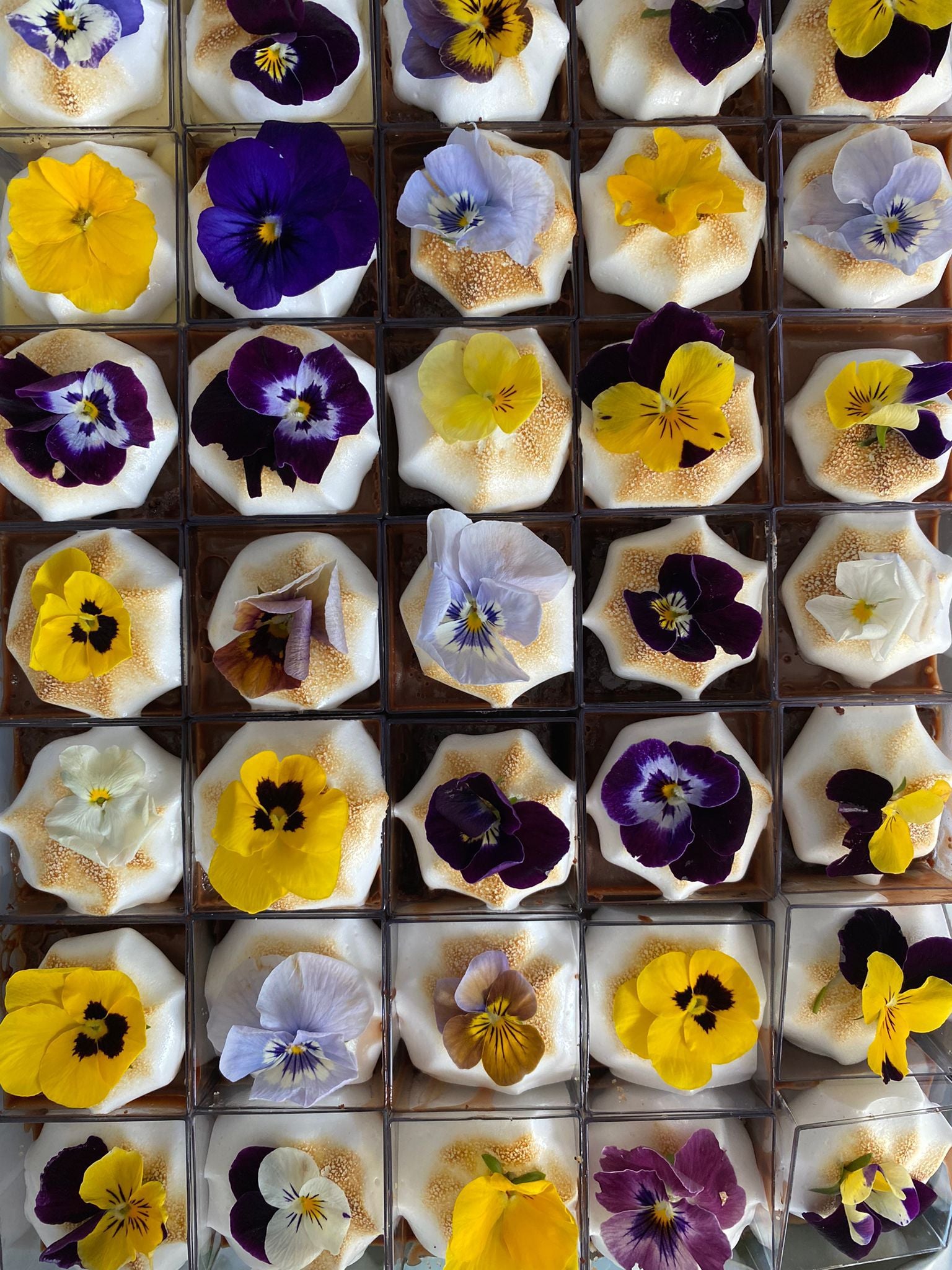 Table with vegan treats ideal for catering and events.
