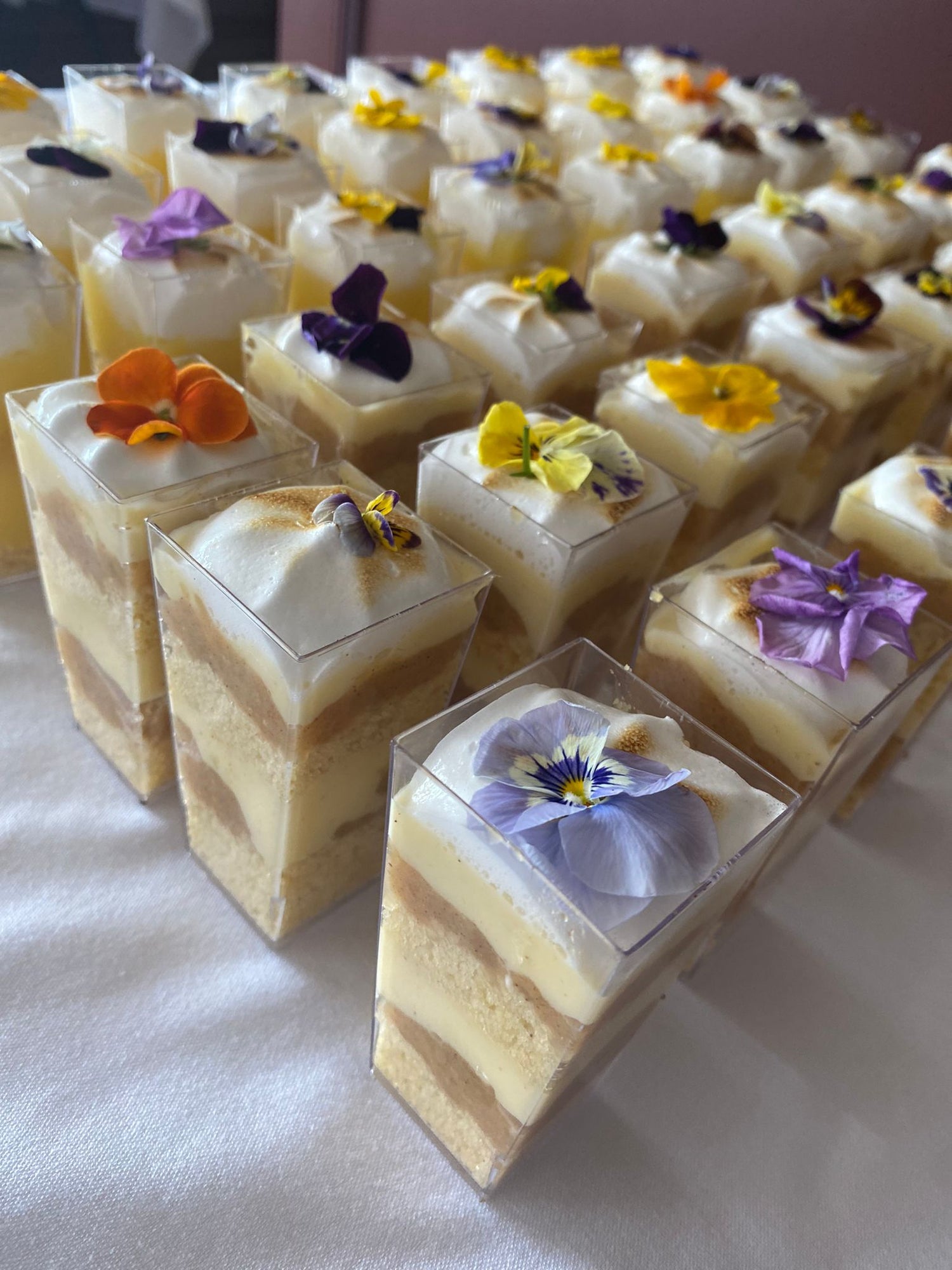 Table with vegan treats ideal for events.