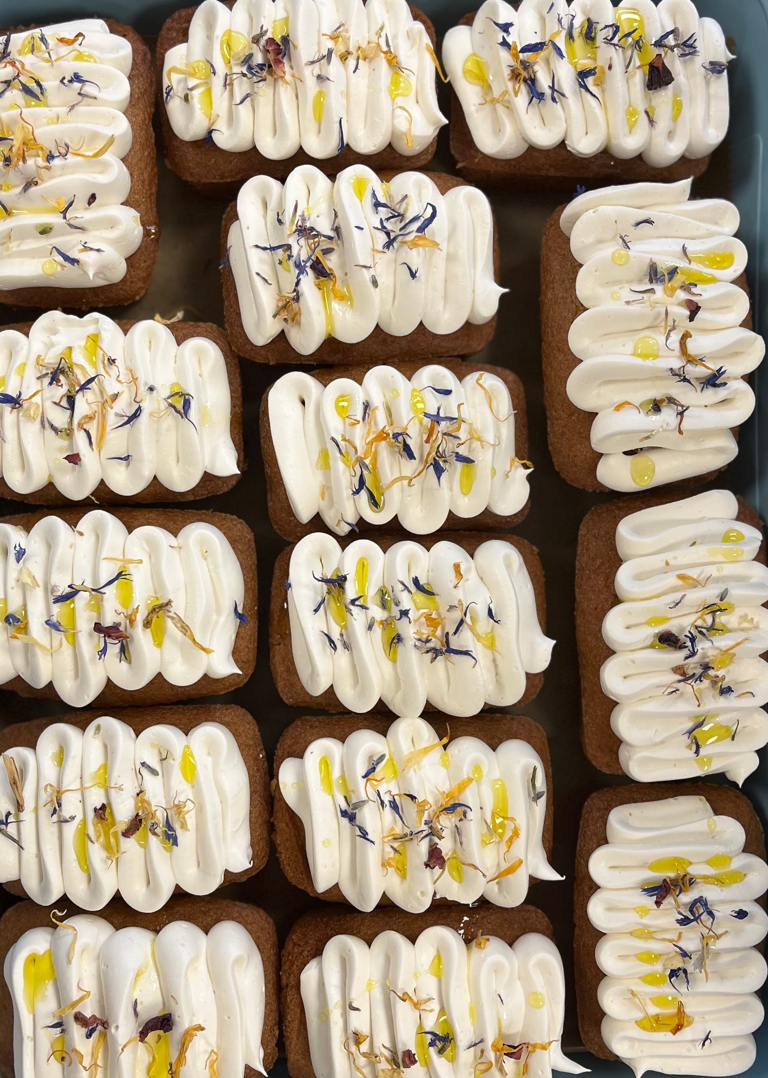 Row of dairy-free brownies with frosting – Plant-Based Baking Workshop Dublin.”