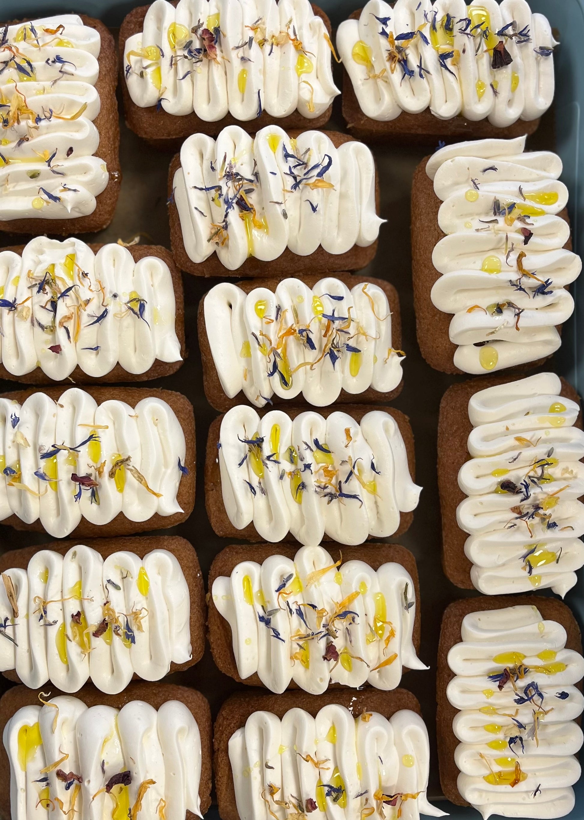 Row of dairy-free brownies with frosting – Plant-Based Baking Workshop Dublin.”